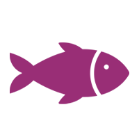 Aquarium Care