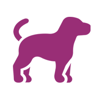 Pet Sitting Wilmington NC