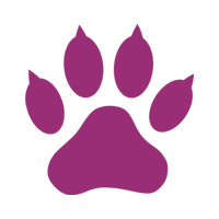 Pet Sitting Wilmington NC
